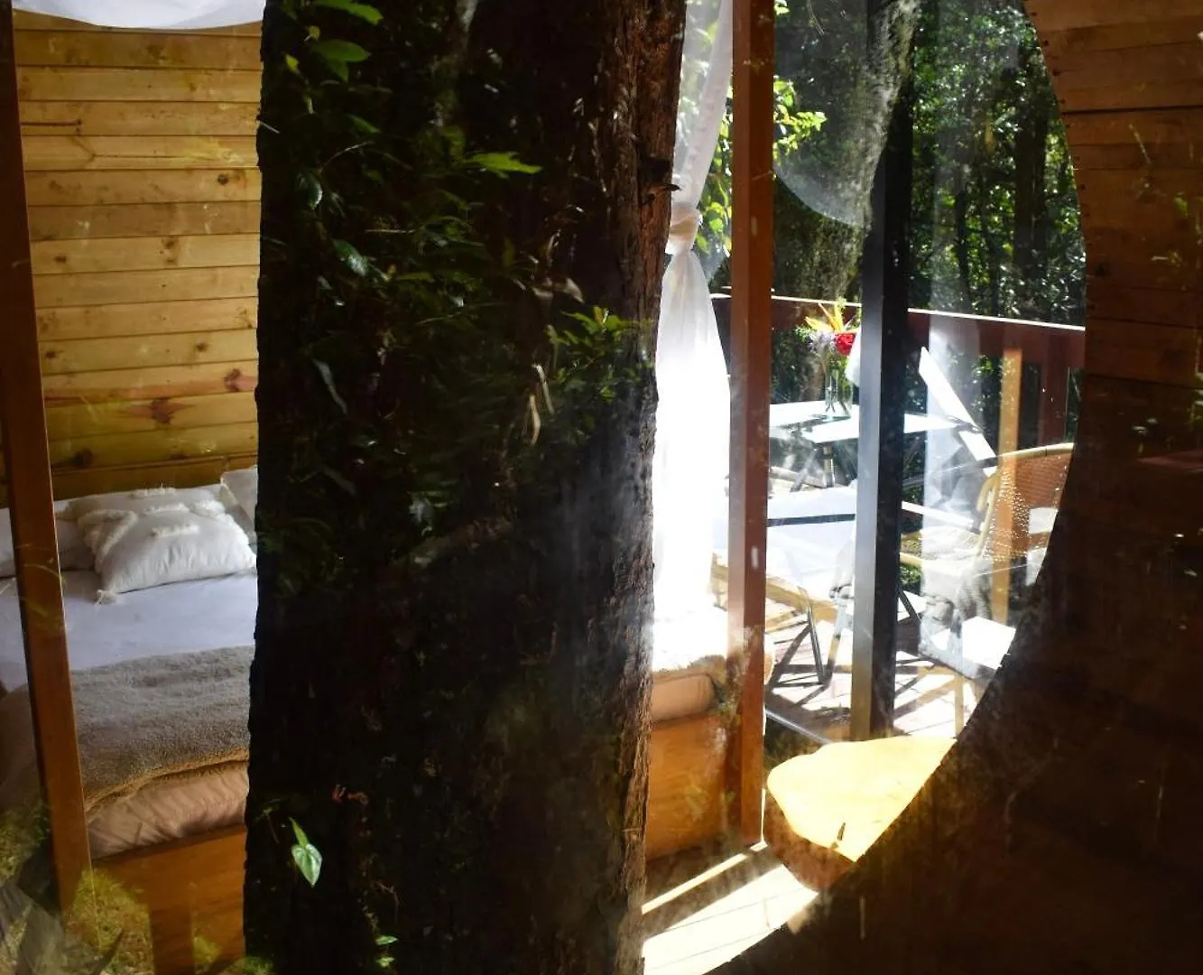 Campsite Onirico Luxury Hotel Medellin